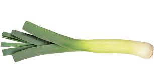 Leek | Louis Bonduelle Foundation