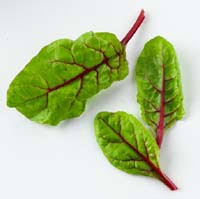 The British Leafy Salad Association web site