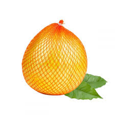 POMELO